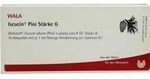 ISCUCIN pini St&auml;rke G Ampullen 10X1 ml