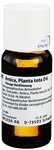 Arnica Planta Tota D 6 Dilution