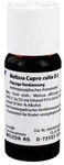 MELISSA CUPRO culta D 2 Dilution 50 ml