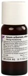 Geum urbanum D1 Dilution,50ml