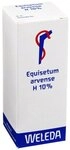 Equisetum Arvense H 10% &Ouml;lige Einreibung, 50 ml