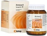 SYNERGON KOMPLEX 53 Abrotanum N Tabletten 200 St