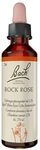 BACHBL&Uuml;TEN Rock Rose Tropfen 20 ml