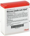 MUCOSA nasalis suis Injeel Ampullen 10 St