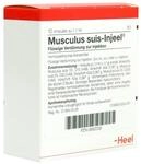 MUSCULUS SUIS Injeel Ampullen 10 St