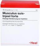 Musculus suis Injeel forte Ampullen 10 stk