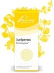 Juniperus Similiaplex Mischung 100 ml