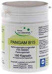 Pangam Vitamin B15 Vegi Kapseln