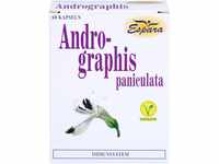 ANDROGRAPHIS paniculata Kapseln 60 St
