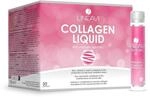 LINEAVI Kollagen Liquid, Trink-Kollagen, mit Kollagen-Peptiden, Acerola, Zink,