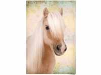 REINDERS Poster Pony Liebe - Papier 61 x 91.5 cm Braun Mädchenzimmer Tiere