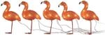 Konstsmide LED Acryl Flamingos, 5er-Set, 40 bernsteinfarbene Dioden, 24V Au&szlig;entrafo,