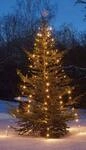 hellum Christbaumbeleuchtung f&uuml;r au&szlig;en, 220 LEDs warmwei&szlig;, 10 Str&auml;nge mit