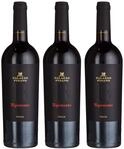 Palazzo Pisano Ripensato "R" IGT trocken (3 x 0.75 l)
