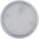 Paulmann 93079 Nova Plus LED Einbauleuchte Modul Coin 50mm 6W 520lm 230V 4000K Satin