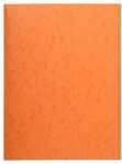Exacompta 56409E Premium Einschlagmappe. Made in Germany. Aus extra starkem