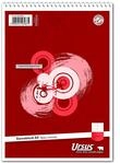 Ursus Basic 040539000 Stenoblock - A5, 40 Blatt, 70g/qm, liniert