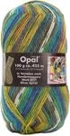 OPAL Hundertwasser Werk 897 - Silver Spiral - 75% Wolle/25% Polyamid - Sockengarn
