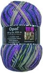 100g Sockenwolle Opal Hundertwasser III - Imagine Tomorrow's World - 3203