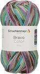 Schachenmayr Bravo Color 9801421-02083 mineral Handstrickgarn, H&auml;kelgarn