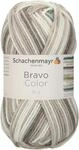 Schachenmayr Bravo Color 9801421-02108 nebel Handstrickgarn, H&auml;kelgarn