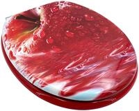 ADOB, Holzkern WC Sitz Klobrille Apfel, Absenkautomatik, 32604
