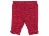 Sterntaler Baby-Mädchen 7/8-Hose Hose, Rot (Rot 840), 3-6 Monate (Herstellergröße: