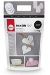 Rayher 34409102 Raysin 100 Gie&szlig;pulver, 4kg, Gie&szlig;masse wei&szlig;, Reliefgie&szlig;pulver,