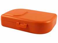 ajaa! Bio Brotdose - Lunch-Box aus nachwachsenden Rohstoffen ohne Melamin, ohne