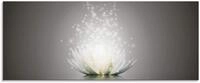 ARTland Wanddeko Glasbilder Wandbild Glas Bild einteilig 125x50 cm Querformat...