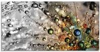 ARTland Wanddeko Glasbilder Wandbild Glas Bild einteilig 100x50 cm Querformat...