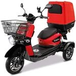 Rolektro E-Carrier 25 Lithium mit XXL Koffer Dreirad-Mobil - 1000W Elektromobil