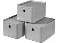 CURVER Aufbewahrungsbox S mit Deckel (4 L), 3er Set, Kunststoff, Hellgrau (Beton),