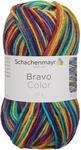 Schachenmayr Bravo Color 9801421-02131 africa color Handstrickgarn, H&auml;kelgarn
