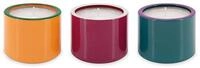 REMEMBER Glaslichter Set 01, 3 TLG, H 6 cm, &Oslash; 7.5 cm &ndash; Glas Teelichthalter...