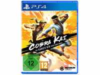 Cobra Kai: The Karate Kid Saga Continues - [PlayStation 4]