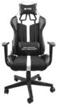 FURY St&uuml;hle Marke Modell Chair Gaming Avenger XL