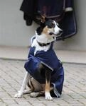 Bucas Freedom Dog Rug 300g, Navy/Silver (65)
