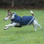 Bucas Freedom Dog Rug 300g, Navy/Silver (50)