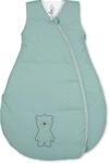 Sterntaler Funktionsschlafsack, B&auml;r Ben, Ganzj&auml;hrig, W&auml;rmeregulierung,