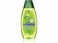 Schauma Schwarzkopf Shampoo, Natur-Momente Grüner Apfel und Brennnessel, 5er...