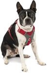 Kurgo Journey Air Hundegeschirr, Mit gepolstertem Brustteil und R&uuml;ckgriff, F&uuml;r