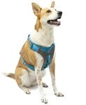 Kurgo Journey Air Hundegeschirr - Sichere Passform f&uuml;r Aktive Hunde - Gepolstertes