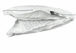 Stendebach Nackenst&uuml;tzkissen S-Loft Spring 40x80 cm