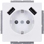 Busch-Jaeger 20 EUCB2USB-84 SCHUKO&reg;-/2x USB-Steckdose Studiowei&szlig; USB-Ladeger&auml;te