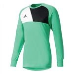 adidas Herren Torwarttrikot Assita 17, Energy Green, M, AZ5400