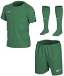 Nike Kinder LK NK Dry PARK20 KIT Set K Football, Pine Green/Pine Green/(White), L