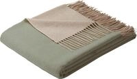 Biederlack Fransenplaid Kaschmirdecke Kaschmirplaid salvia-Creme Kaschmir Wolle