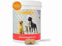 NutriLabs Canidex Gelenktabletten für Hunde 250 Stk. - mit MSM, Hyaluronsäure,