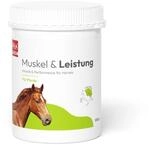 PHA Muskel & Leistung f&uuml;r Pferde &ndash; Mineralstoffe und Vitamine f&uuml;r Muskelaufbau &